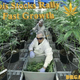 Illustration for article titled Cannabis Stocks Rally Start Fast Growth